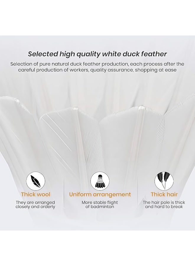 12-Pack Badminton Shuttlecocks, White, Premium Goose Feathers, Cork Ball Head, Durable Competition Grade, Stable Flight - Image 2